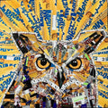Owl with Sun Rays