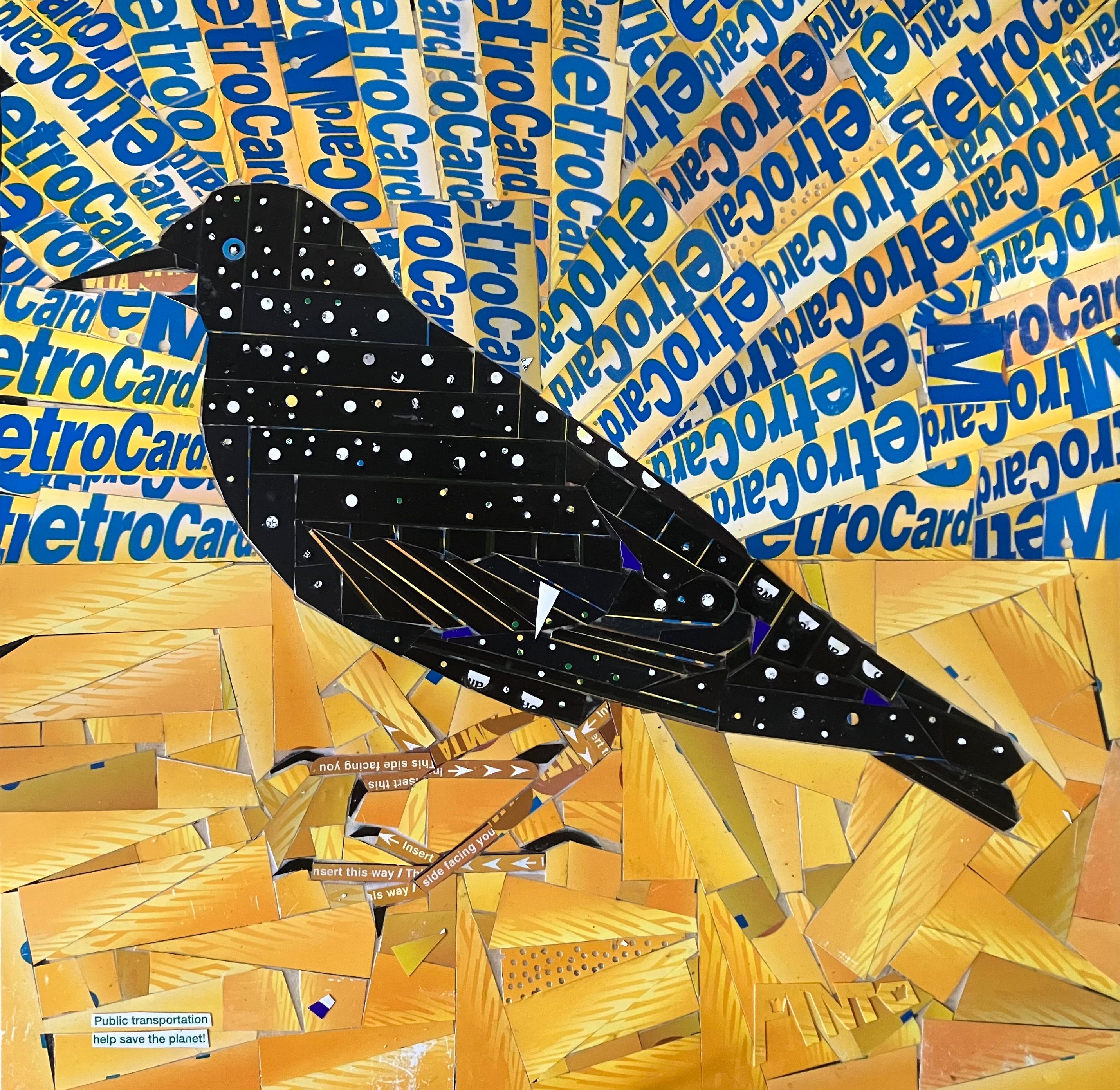 Blackbird with Blue Rays