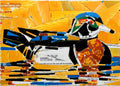 Wood Duck